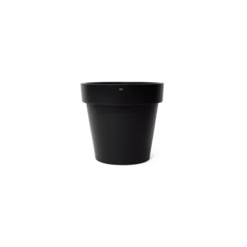 Classic 25 Studio - Graphite