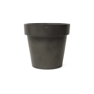 Classic 100 Studio - Natural