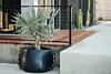 thumbnail: bld-stitch-75-planter-starfire.jpg